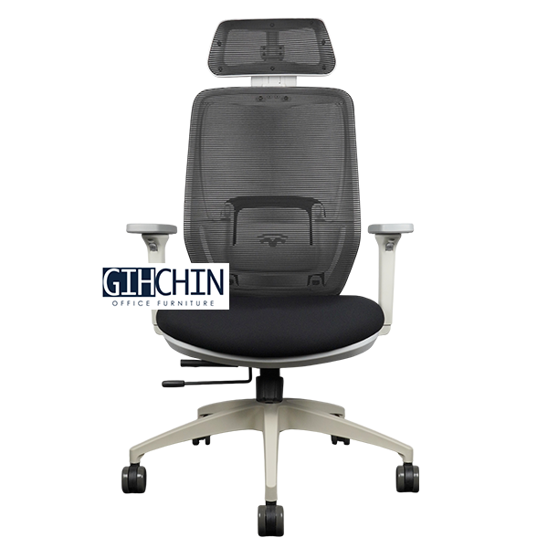 GR501-W 高背人體工學椅 1