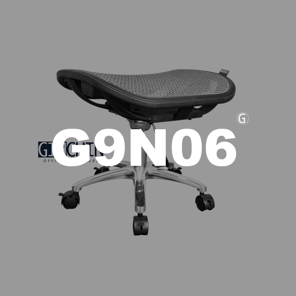 G9N06 人體工學椅凳