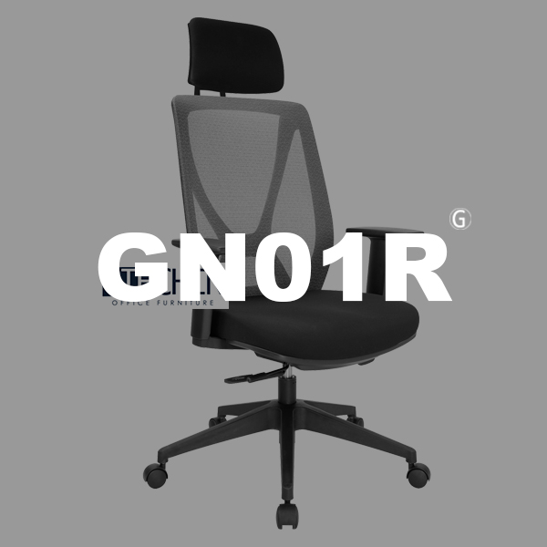 GN01R高背人體工學椅